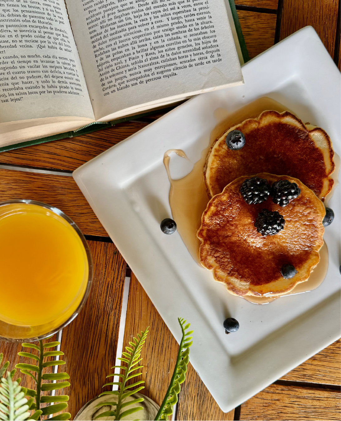 Foto de Portafolio 6