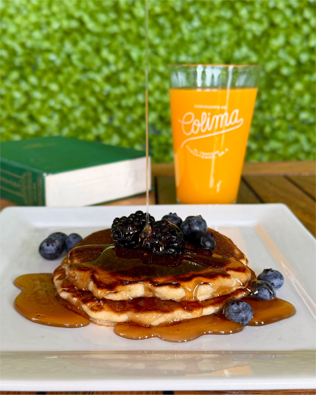 Foto de Portafolio 24