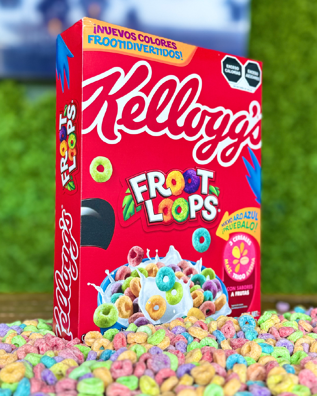 Foto de Portafolio 2